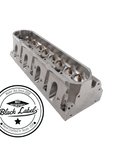 Black Label Cylinder Heads Cathedral Port 245cc 4.000"(+) Bore - Pair Black Label CNC Cylinder Head - Stainless Steel or Titanium Valves