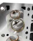Mast Motorsports LS Cylinder Heads Mozez - Maximum Effort - Naturally Aspirated Cylinder Head