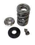 Mast Motorsports Valve Spring Kit Drag Race and Marine 1.525 Valve Spring Kit - Solid Roller LSX - Polished