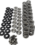 Mast Motorsports Valve Spring Kit Drag Race and Marine 1.525 Valve Spring Kit - Solid Roller LSX - Polished