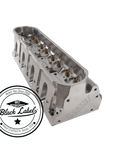 Black Label Cylinder Heads Cathedral Port 295cc 4.125" (+) Bore - Pair Black Label CNC Cylinder Head - Stainless Steel or Titanium Valves