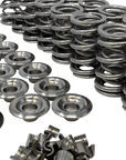 Mast Motorsports Valve Spring Kit Drag Race and Marine 1.525 Valve Spring Kit - Solid Roller LSX - Polished