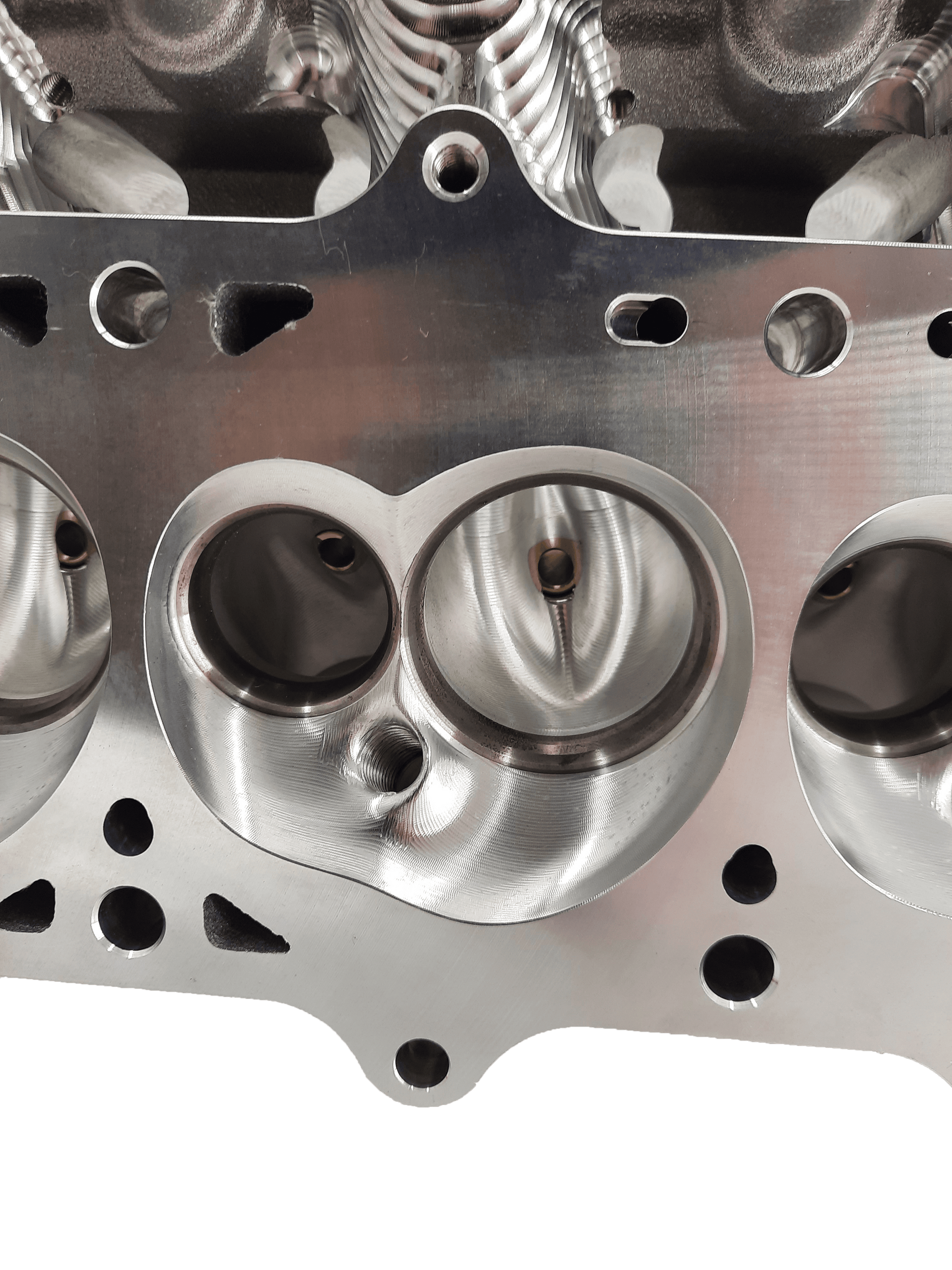 Black Label Cylinder Heads Cathedral Port 295cc 4.125&quot; (+) Bore - Single Black Label CNC Cylinder Head - Bare
