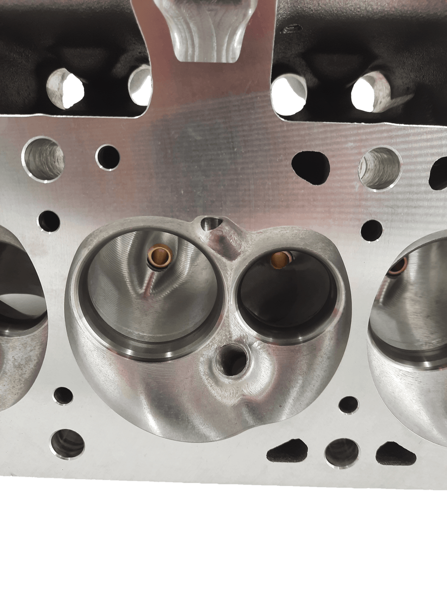 Black Label Cylinder Heads LT1 Pair Black Label Heads - 4.125 (+) Bore - For Direct Injection or Port Injection - Stainless Steel or Titanium Valves