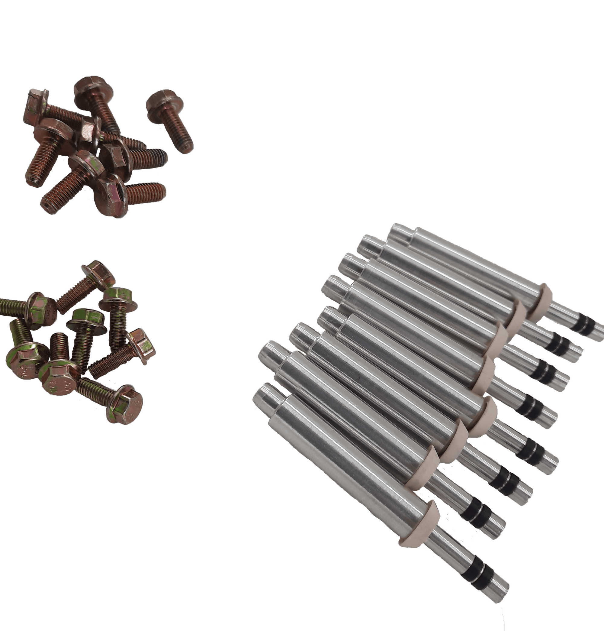 Factory Mast Plug Kit LST Direct Injection Plug Kit