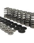 Factory Mast Valve Spring Kit Godzilla Valve Spring & Titanium Retainer Kit